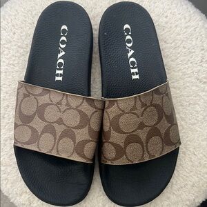 Coach Black and Tan Logo Slides